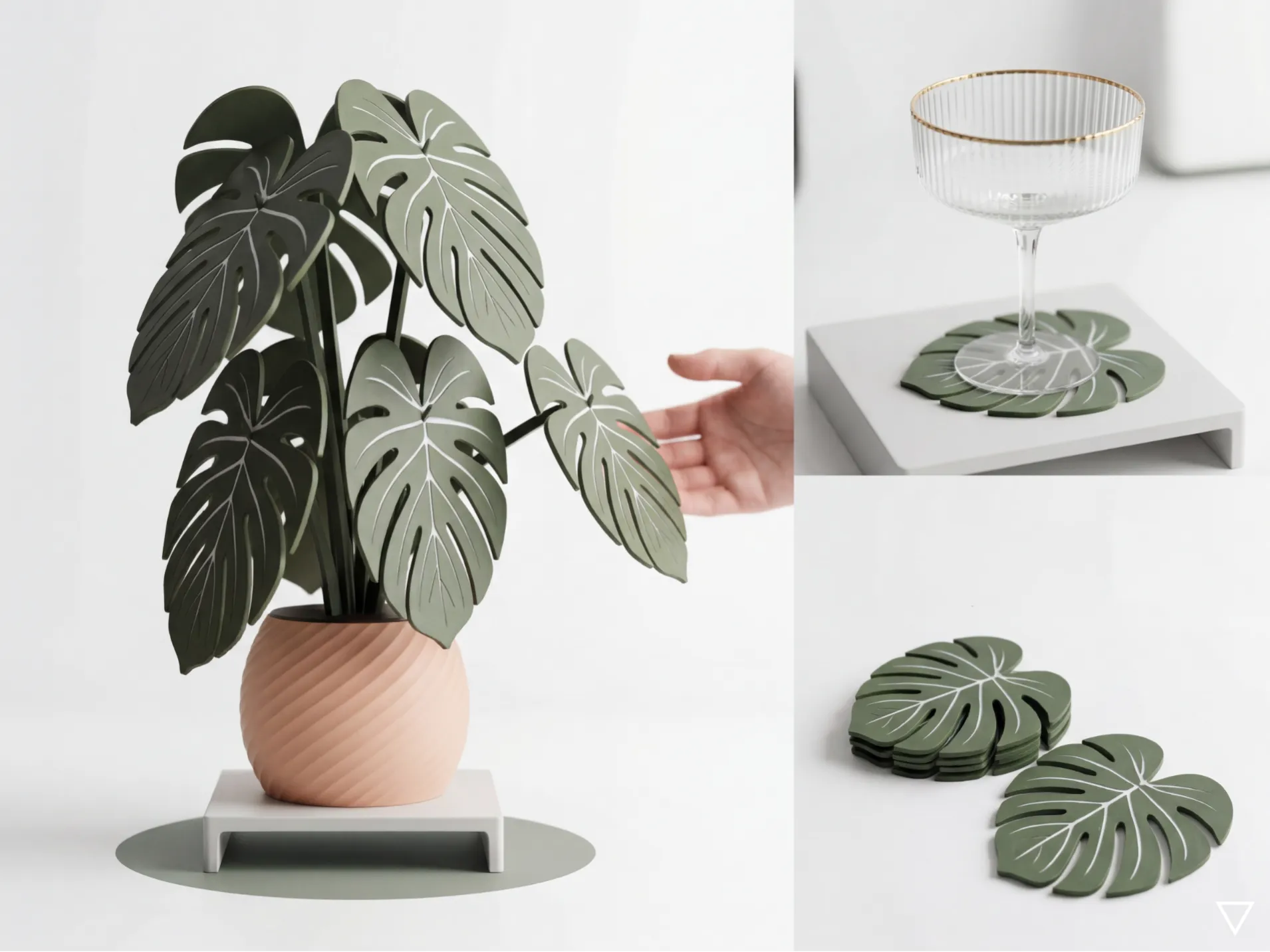 PLANTA POSA VASO