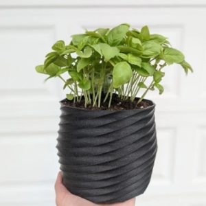 Maceta Redonda Color a Elección