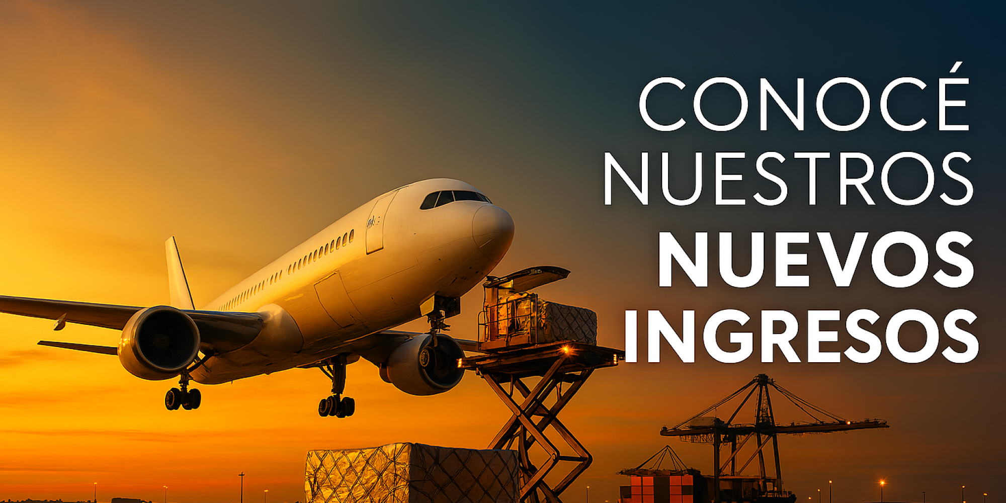 Elimina los barcos d Elimina los barcos d